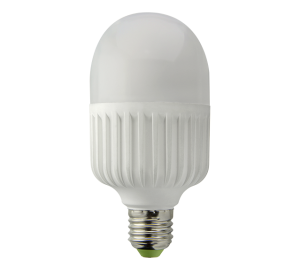 Светодиодная лампа Industry E27/22W-6000 (М70) Bellson